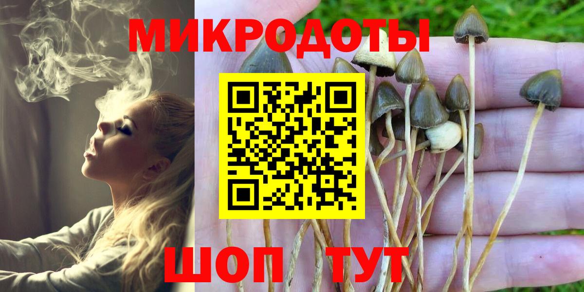 Галлюциногенные грибы мухоморы  Вход с VPN  Галлюциногенные грибы GOLDEN TEACHER  Вятские Поляны 
