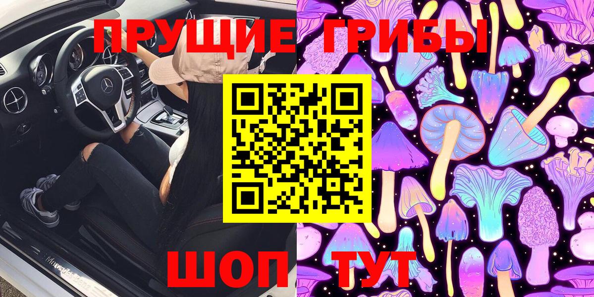 Псилоцибиновые грибы мицелий Вятские Поляны